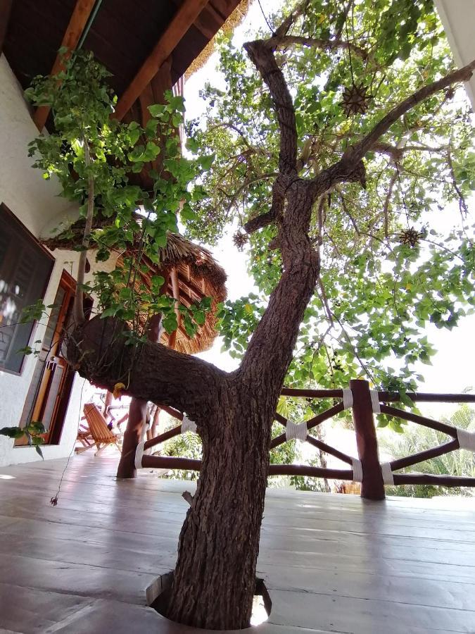 Casa Mech Guest house