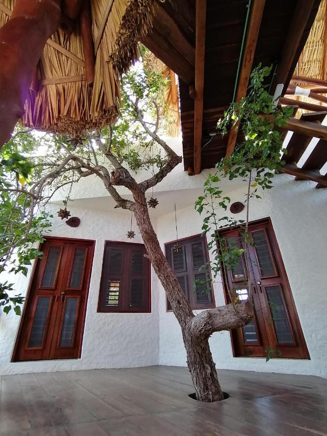 Guest house Casa Mech *
